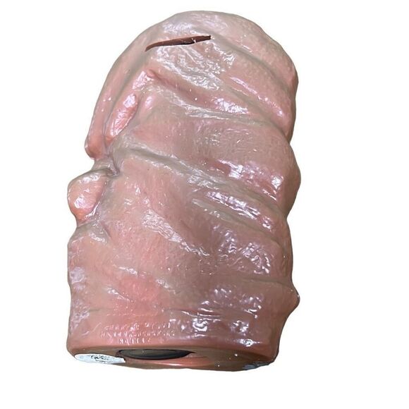 Berries Hong Kong Multicolor Collectible Money Plastic Penny Bank Size 4” x 6.5” - Picture 5 of 11